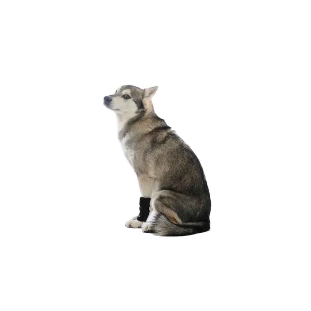 Agon® Dog Front Leg Brace Paw Compression Wraps [DS002Y] - Picture 4 of 11